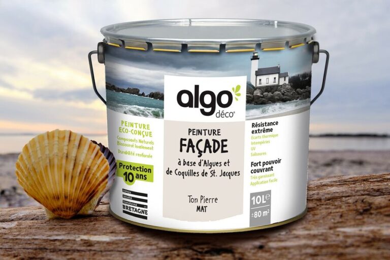 Peinture Algo Avis