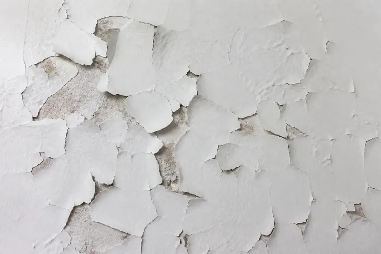 Peinture murale blanche qui s'écaille par plaques sèches révélant le support sous-jacent